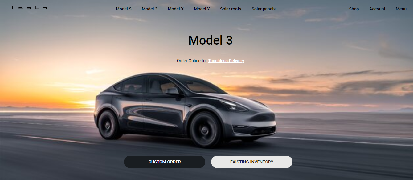 tesla project preview 